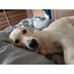 20190806_093348.jpg